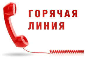 «Горячая линия» по вопросам качества и безопасности детских товаров, по выбору новогодних подарков. «Горячая линия» по вопросам качества и безопасности детских товаров, по выбору новогодних подарков.